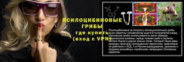 молекула духа Беломорск