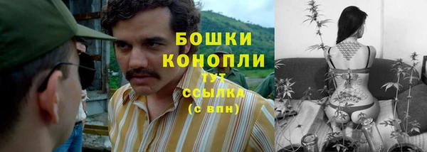 молекула духа Беломорск
