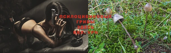 кокаин премиум Белокуриха