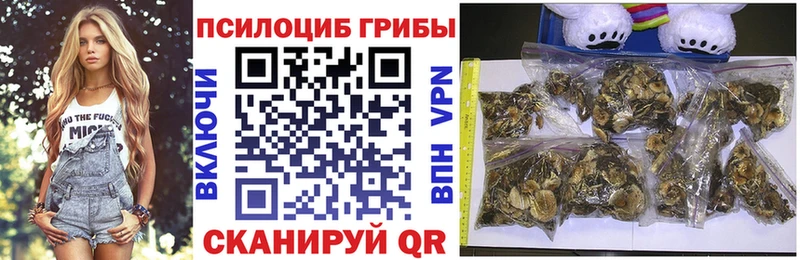 Галлюциногенные грибы Psilocybine cubensis  Городовиковск 